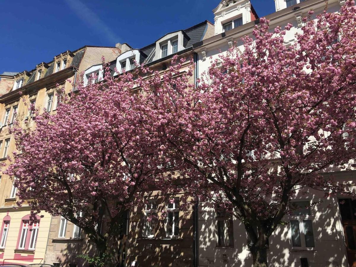 Apartmany Jizdarenska كارلوفي فاري المظهر الخارجي الصورة